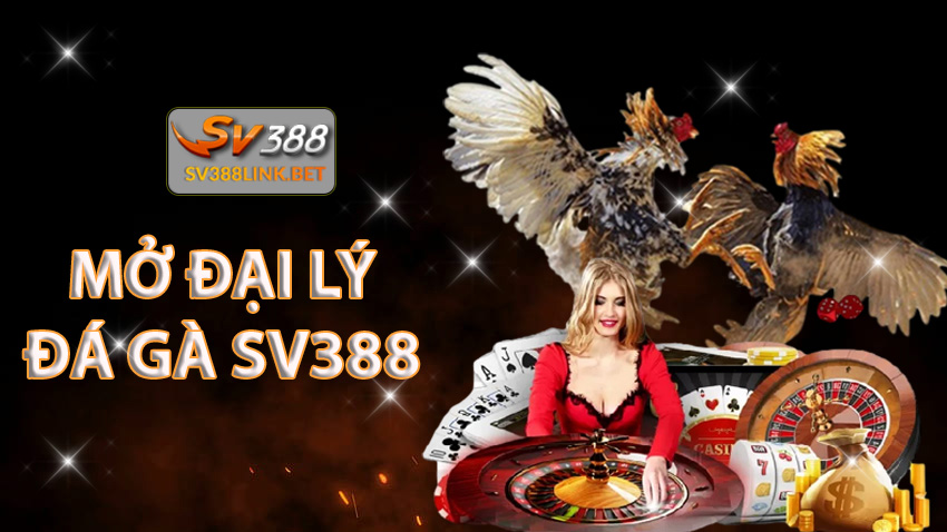 Đại lý đá gà sv388 Địa chỉ tin cậy cho người yêu thích đá gà trực tuyến